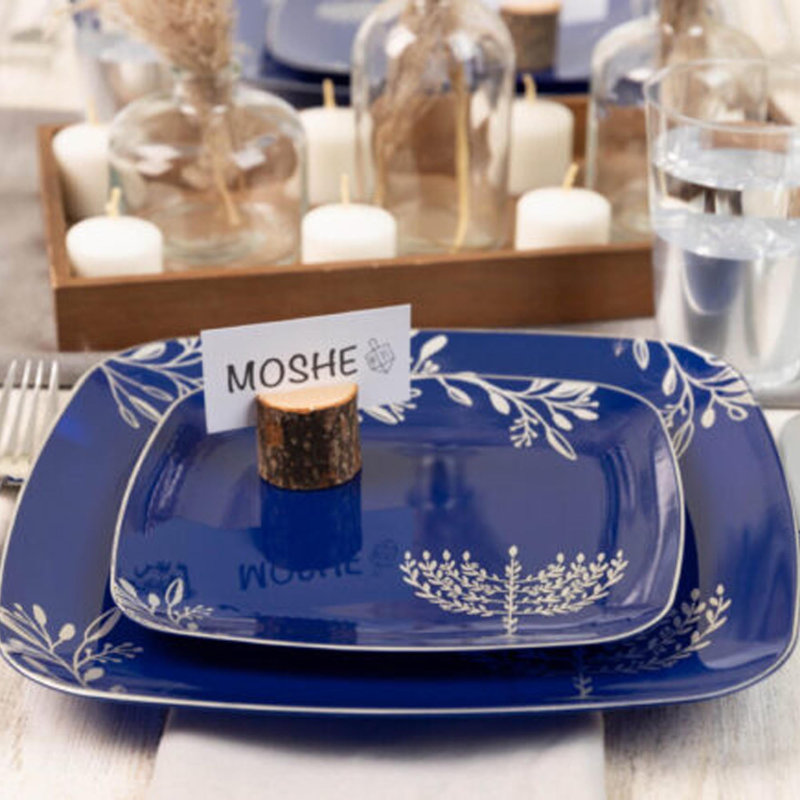 Dinner Plate Set for 48 Guests