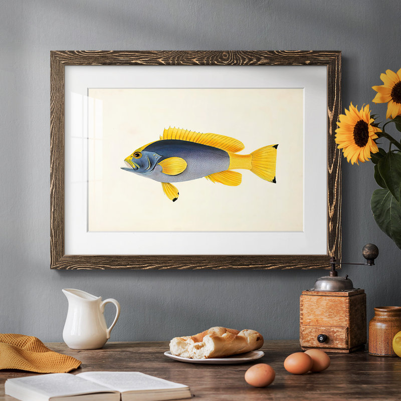 Collection de poissons tropicaux V, Noyer, H 14 po x l 20 po