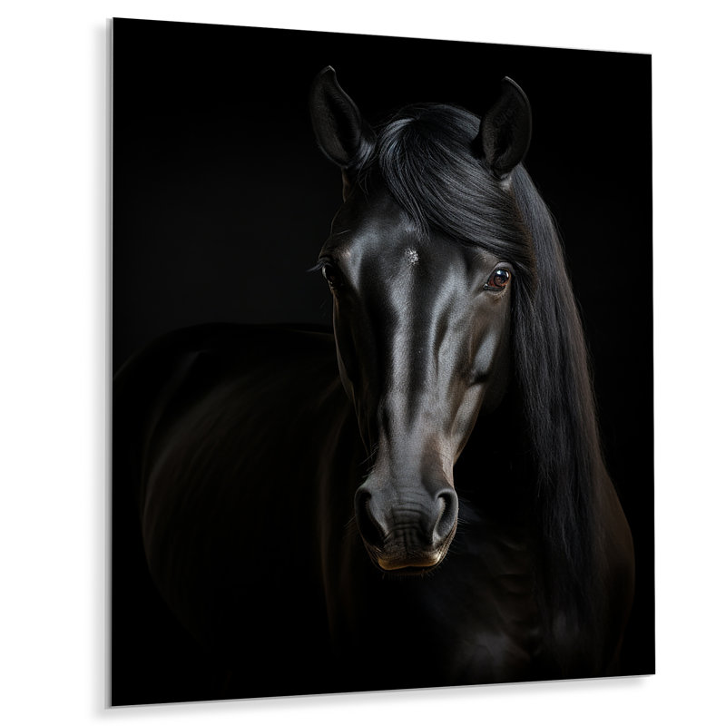 Portrait d'un cheval noir gracieux - cheval, art mural, salon, Sans cadre, métal, H 40 po x l 30 po