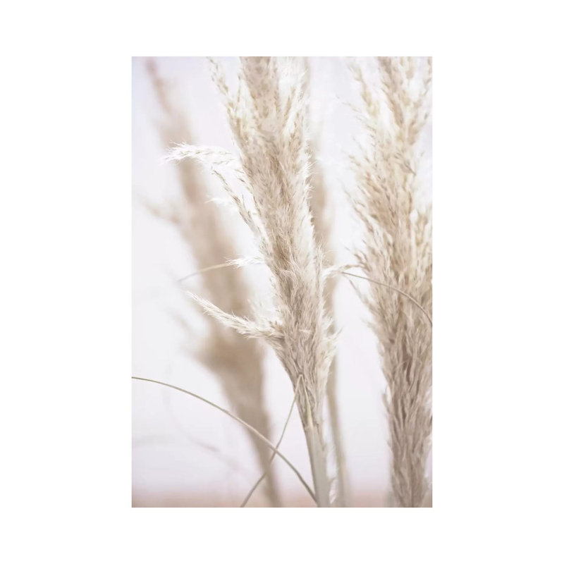 Pampas Reed I 1 Piece Wrapped Canvas Wall Art, 30.48 cm H x 45.72 cm W