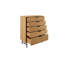 Jama Steel 5 -Drawer Accent Chest