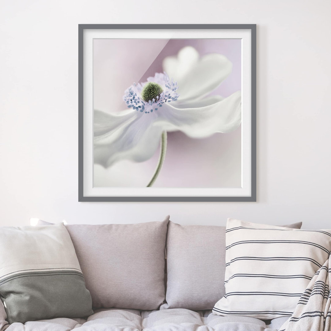 Gerahmter Fotodruck Anemone Breeze