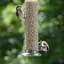 Bird Bath Heater