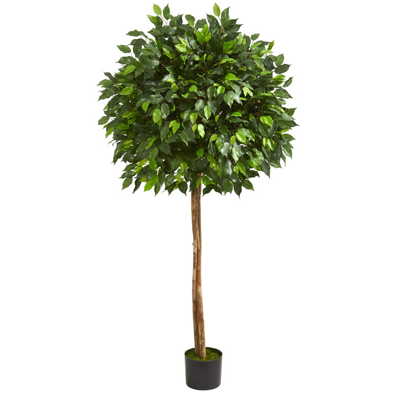 Ficus Artificial Tree, 66" H x 18" W x 18" D