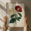 Elegant Red Yellow Flowers by Josie George — Botanical Wall Art-2038426277-2038426278-2038426300