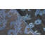 Neo Damask Area Rug