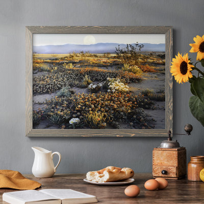 Anza Borrego Desert - reproduction de cadre flottant sur toile