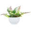 Plante grasse artificielle en pot 11,5 po