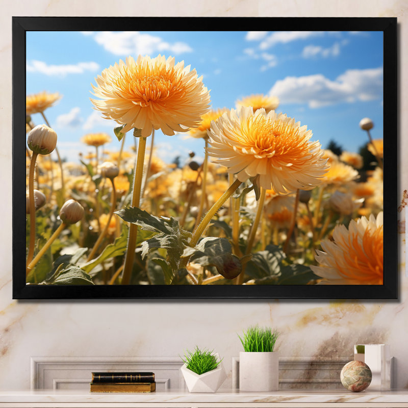 Dandelion Sunlit Petals I - impression sur toile florale, H 34 po x l 44 po x P 1,5 po, Cadre simple noir