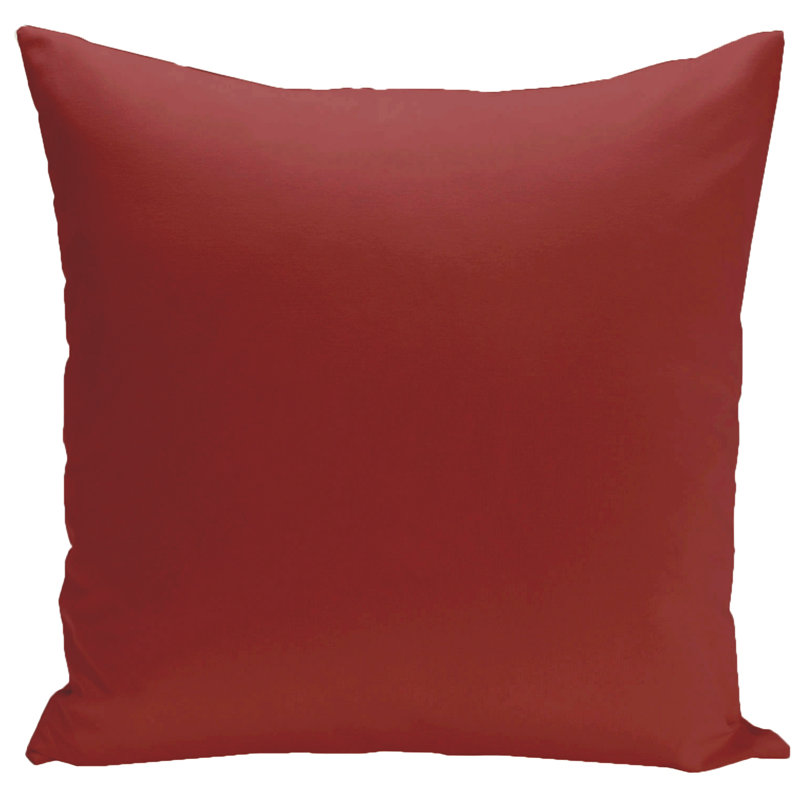 Bourrure de coussin de forme carré, H 16 po x l 16 po, Dragon