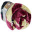 Jeté state seminoles Florida