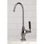 Water Onyx Cold Water Filtration Faucet