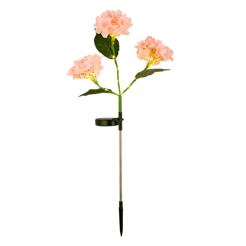 Ensemble de 2 lumières solaires pour sentier d'hortensias, Rose
