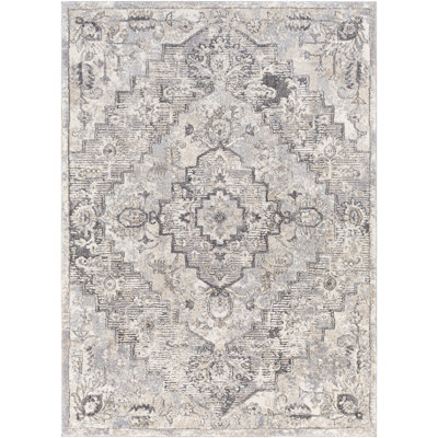 Hodder Oriental Indoor Rug