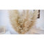 40 po, 30 tiges d'herbe de pampas naturelle, grand, herbe de pampa