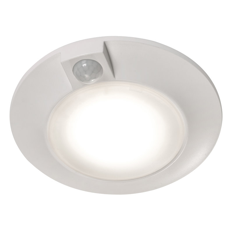 Tinki Acrylic LED Flush Mount
