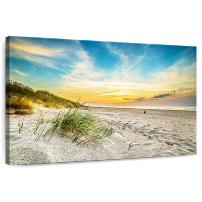 Polish Beach Sand Dunes