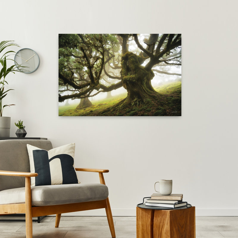 «Forest Monster», art contemporain de paysage forestier abstrait, H 24 po x l 36 po
