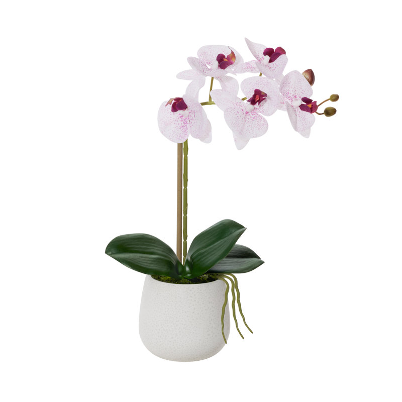 Faux orchidée Phalaenopsis, Blanc/rose