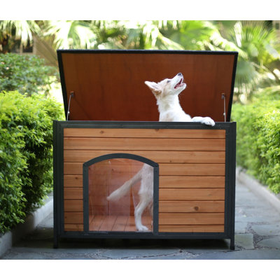 Niche pour chien