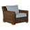 Montauk Patio Chair with Cushions
