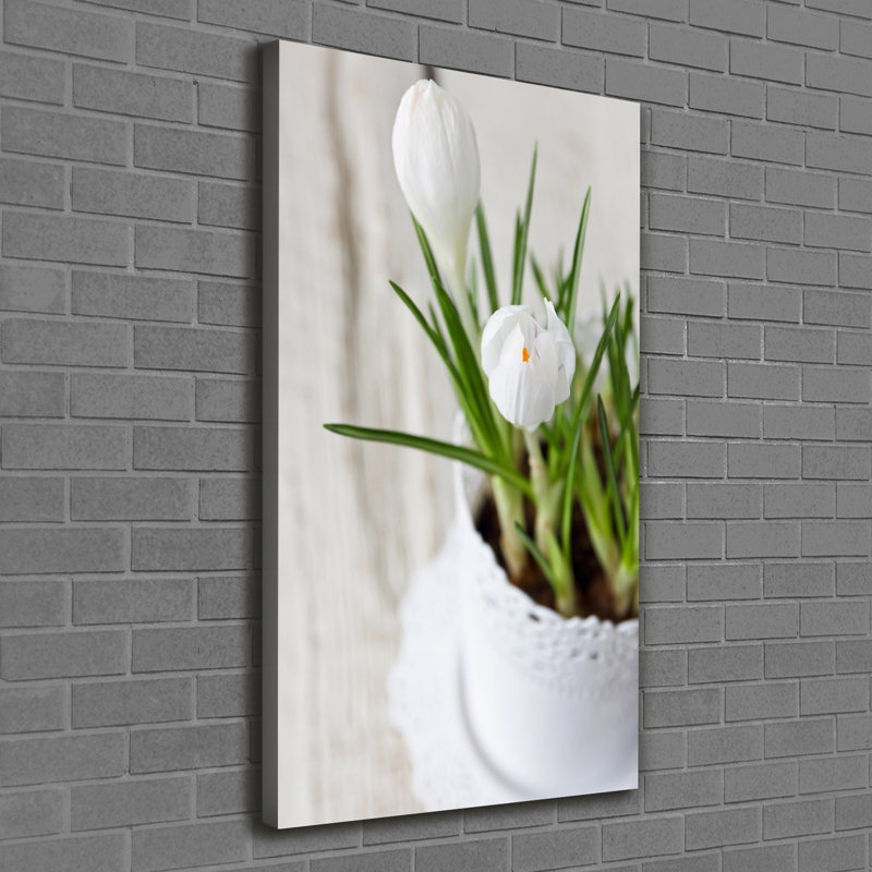 White Crocuses - Wrapped Canvas Print