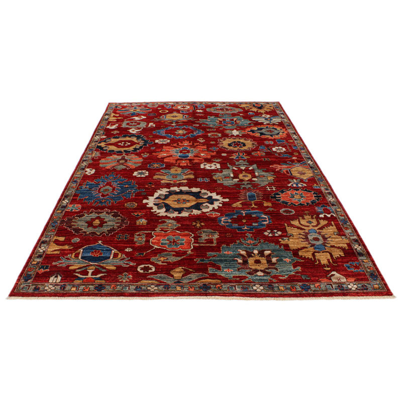 Tapis traditionnel rouge et multicolore 6 x 9 Anatolian