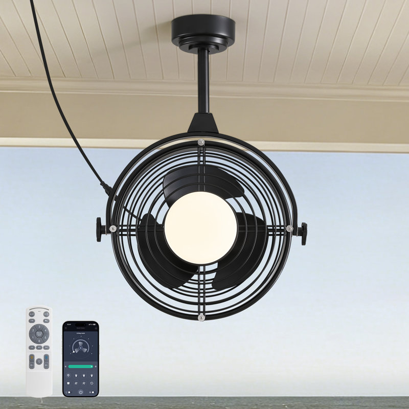 19.7" Outdoor Waterproof Caged Ceiling Fan with Light Kit and Remote Control