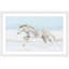 Parvez Taj - Single Picture Frame Print-19701437