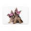 Drôle de Yorkshire Terrier-1599896713