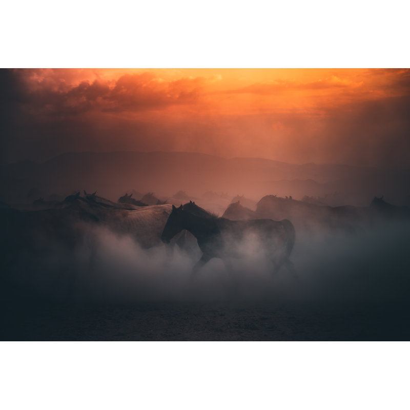Wild Horses Running At Dust by Serts - No Frame Art Prints on Canvas, 20cm H x 30cm W