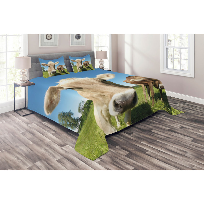 Farmhouse / Country Polyester Coverlet, King Bedspread + 2 Shams