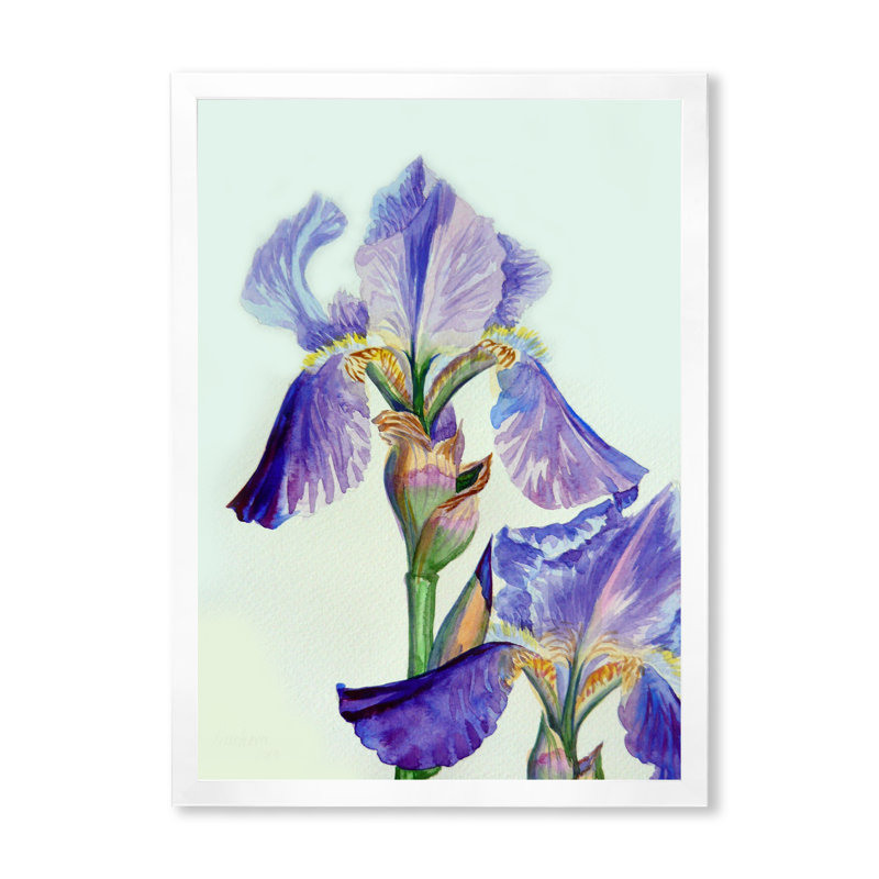 Iris bleu et mauve en été II - décoration murale traditionnelle en toile, Impression blanche sur toile encadrée