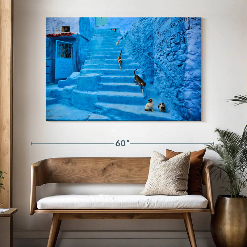 Chats Brampt Chefchaouen, H 34 po x l 51 po