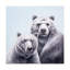 Visage d'ours - Art mural