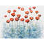 Fleurs rouges avec éclaboussures de peinture bleue - art floral sur toile