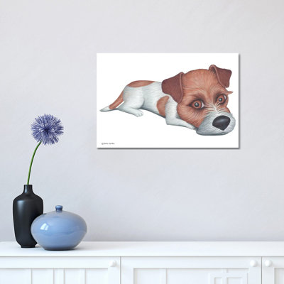 Jack Russell Terrier