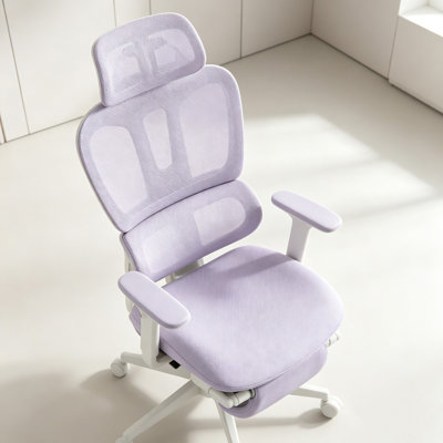 Chaise de bureau ergonomique en filet avec repose-pieds et double dossier