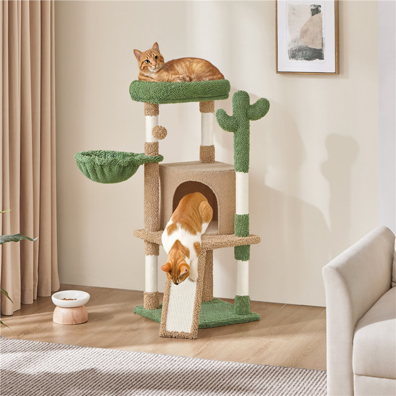 Arbre à chat 42 "Gilpin Cactus, Brun/vert