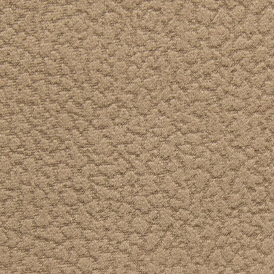 Dani-410 Fabric