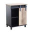 Ellery Steel 1 -Door Accent Cabinet