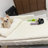 Casheena Orthopedic Fleece Pet Bed-385644361