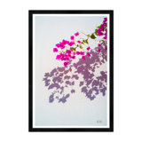Bougainvillea Stucco I Print by Tim Klein