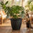 Anjelica Polyresin Large Round Outdoor Planter - 24" - Matte Black - Set of 2-1000136789