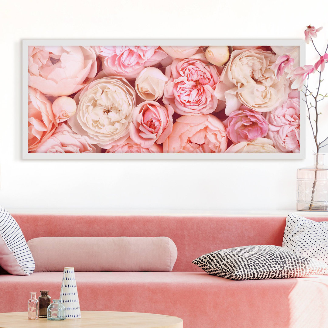 Gerahmtes Poster Rosé Coral Shabby