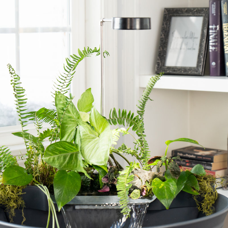 Aquagarden Fountain Plant Light