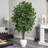 72'' Faux Ficus Tree in Ceramic Planter