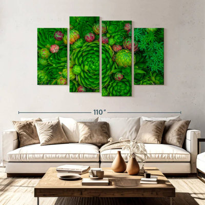Plantes grasses vertes Harnek