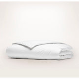 Down Duvet Insert