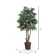 Wrought Studio Artificial Mini Ficus Extra Full Series | Wayfair